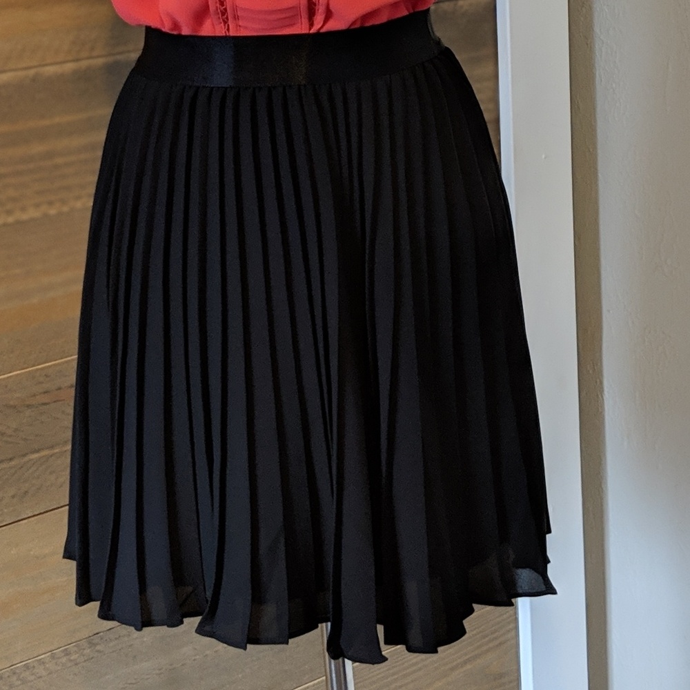 Express pleated skirt